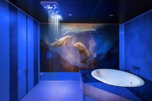 Deluxe Double Room with Shower