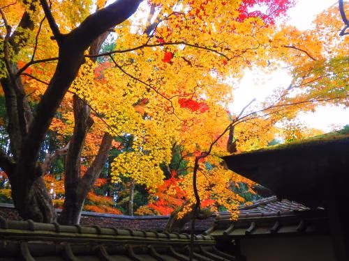 Murasakino Guesthouse2