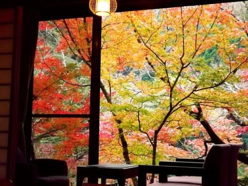 Japanese-Style Superior Room with Shared Bathroom and View - Annex