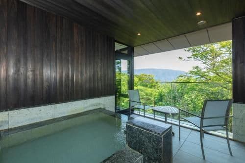 Deluxe Room with Open-Air Bath