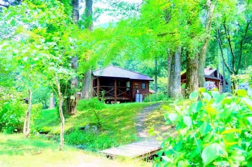 Cottage (6 Adults)