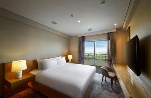 Deluxe King Room