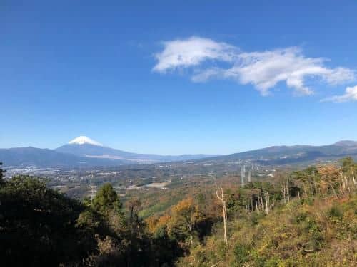 Minami-Hakone Atami private villa resort house Bamboo Minami-Hakone Atami private villa resort house Bamboo