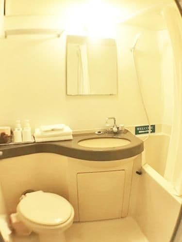 Double or Twin Room with Mountain View