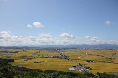 Play Ground BASE -higashikawa-1