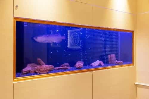 HOTEL Artia Izumiotsu (Adult Only) HOTEL Artia Izumiotsu (Adult Only)