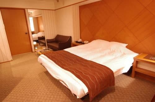 Premium Double Room - Non Smoking - 15:00 Check in