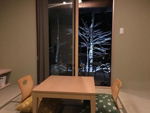 Twin Room with Balcony