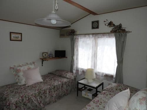 Standard Twin Room with Mountain View