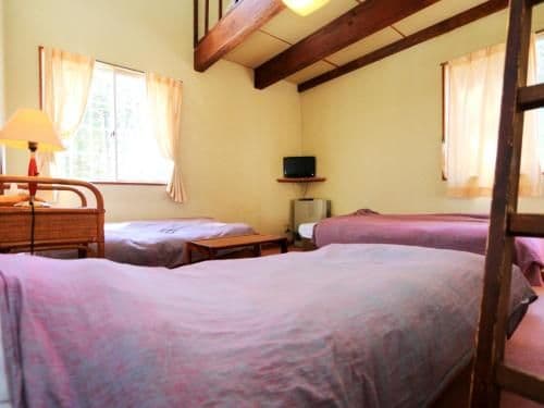 Superior Triple Room