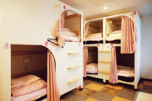 Bunk Bed in Female Dormitory Room