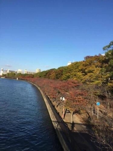 Mikawa House Osaka Castle3