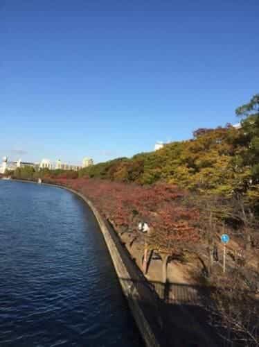 Mikawa House Osaka Castle Mikawa House Osaka Castle