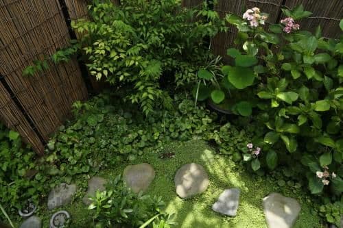 Japanese-Style Twin Room