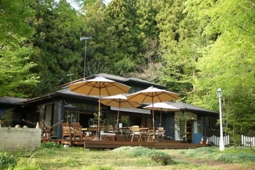 Cafe & Guest House - Saku Cafe0