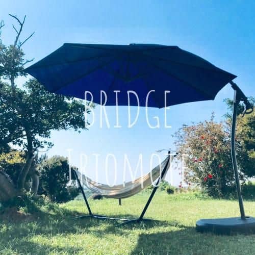 BRIDGE Iriomote Island BRIDGE Iriomote Island