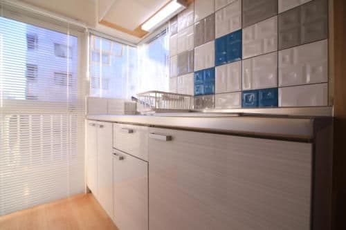 Apartment with Shower