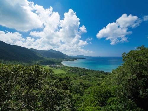 Sun Green Grass Ishigaki4