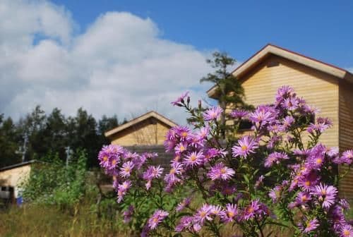 Premium Cottage with Open Air Bath and Seasonal Dinner