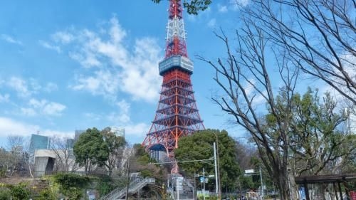 Floral · Iron Tower Hotel Tokyo (Floral Iron Tower Hotel Tokyo)4
