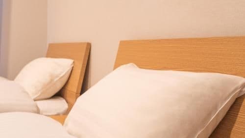 Double or Twin Room with Shower