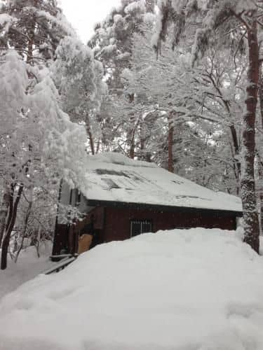 Shiro Cottage Shiro Cottage