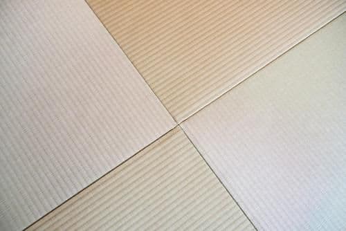 Family Room with Tatami Area