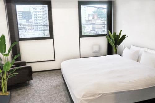 Basic King Room