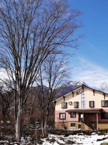Guesthouse Aozora (Blue Sky)0