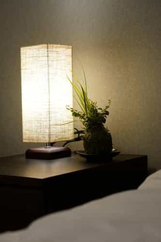 Reiwa Precious House Osaka(156-2) Reiwa Precious House Osaka(156-2)