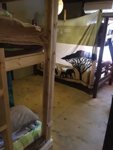 Bunk Bed in Mixed Dormitory Room