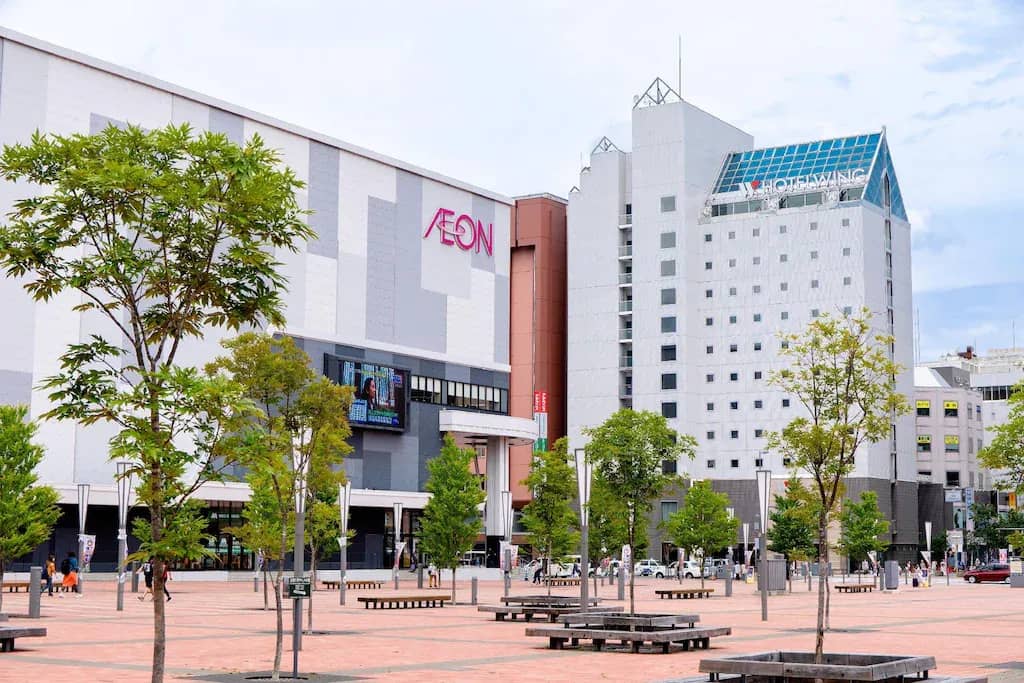 Hotel Wing International Asahikawa Ekimae Hotel Wing International Asahikawa Ekimae