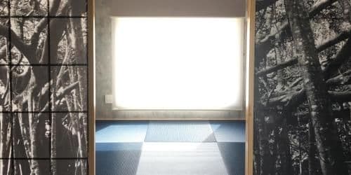 Deluxe Suite with Sea View 102
