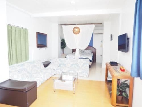 Apartment with Shower