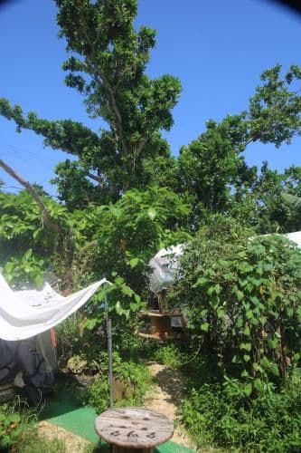 Tent