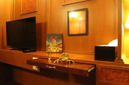 Superior Single Room