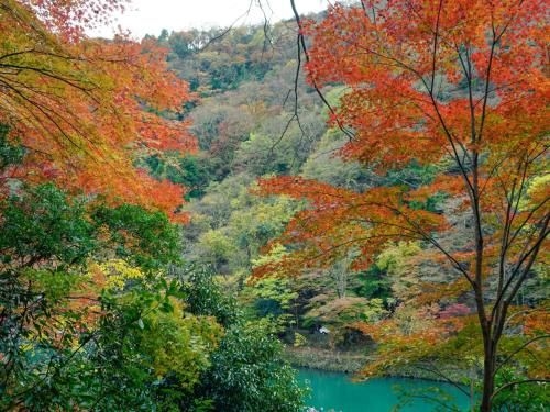 KYOTO MACHIYADO SHIJOKARASUMA (Kyoto Machiyado Shijokarasuma)2