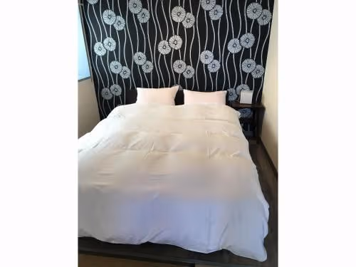 Standard Double Room - Non-Smoking