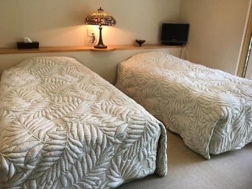 Twin Room - Non-Smoking