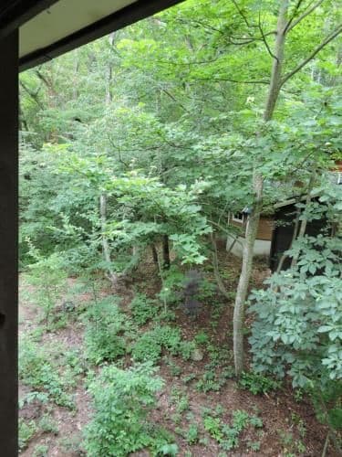 Triple Room with Forest View