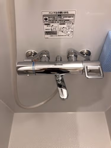Apartment with Shower