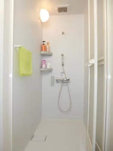 Apartment with Shower