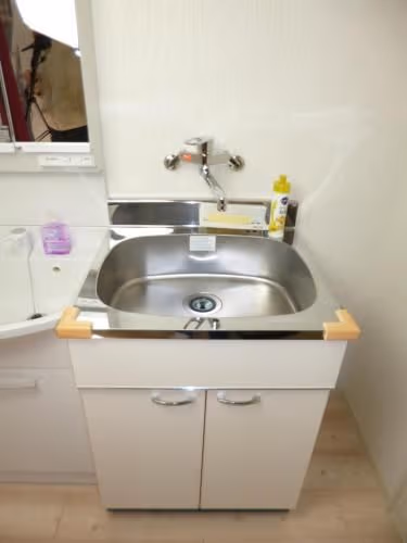 Apartment with Shower