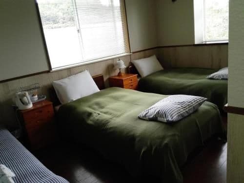 Twin Room - Non-Smoking