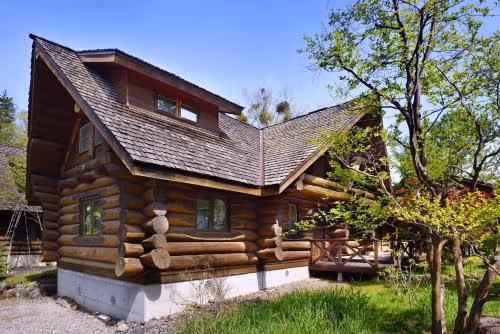 Deluxe Log House
