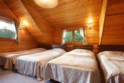 Deluxe Log House