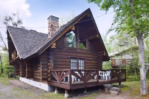 Deluxe Log House
