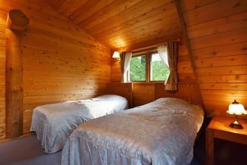 Deluxe Log House