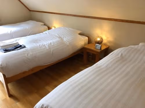Western Style Triple Room with Shared Bathroom S3