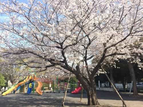 The Wood Villa Ikebukuro/Max 9 PP The Wood Villa Ikebukuro/Max 9 PP